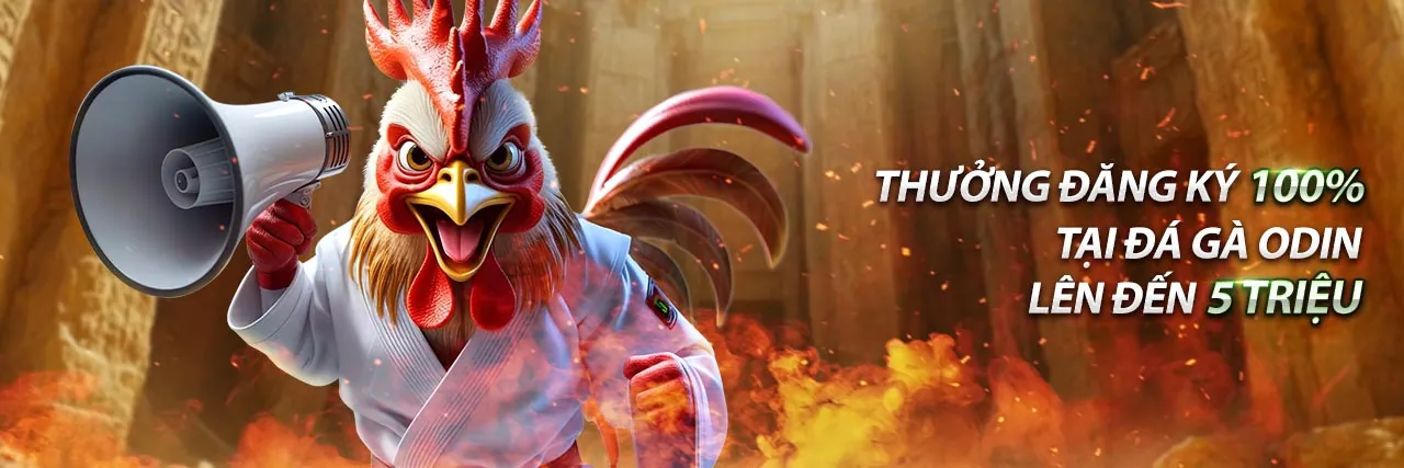 Tổng quan chính sách chơi có trách nhiệm của M88